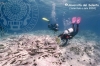 La Carta Archeologica Subacquea della Puglia Meridionale