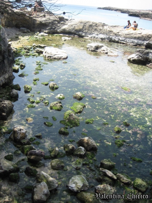 Baia di Porto Selvaggio (Comune di Nardò)