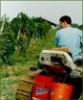 Interventi in agricoltura- Approvati Programmi Regionali