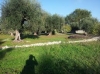 campagna