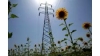 Energia: in Puglia previste cinque centrali elettriche