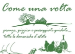Come una volta