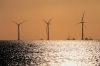 Licenza per il primo parco eolico offshore pugliese, sorgerà al...