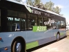 Filobus a Lecce, l'Italia dei Valori chiede al sindaco di sospendere...