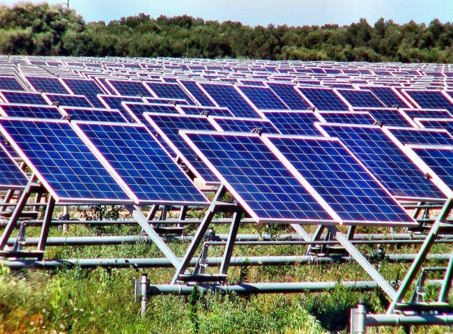 Gabellone: "Occorre limitare la diffusione incontrollata degli...