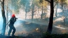 Incendio distrugge 250 ulivi secolari a Specchia, il Sud brucia