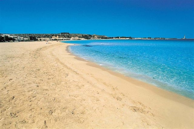 mare