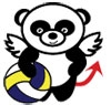 Pallavolo/Al via domani, 19 settembre, i corsi per bambini...