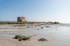 torre guaceto
