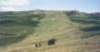 Istituito con Legge regionale il "Parco dei tratturi della...