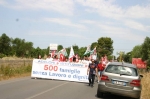 Imprese in crisi