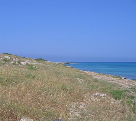 coste