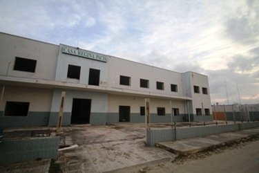 Regina pacis