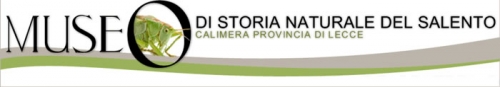 museo calimera