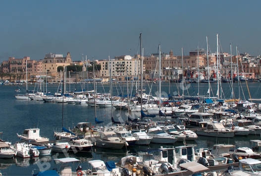 Attentato in pieno centro a Brindisi, Curto: l'Udc chiederà un...