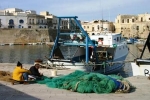 Necessarie la tracciabilità e l'etichettatura del pesce per...