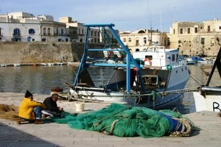 Stop per un mese all'attività di pesca nelle acque di Gallipoli,...