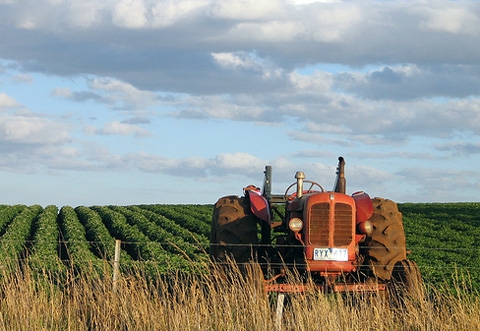 Per il mondo agricolo la proroga dei crediti a breve termine