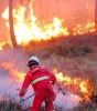 Il Piemonte torna in Puglia per combattere gli incendi boschivi