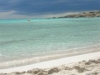 Spiagge: Pelillo presenta numero verde WWF contro reati ambientali...