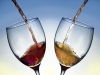 Premio Speciale Vinitaly 2009 alle Cantine Due Palme
