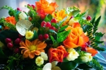 fiori