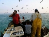 Scatta da oggi nell'Adriatico il "fermo pesca"