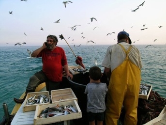 Piccola pesca, un incontro a Bari con le associazioni di categoria