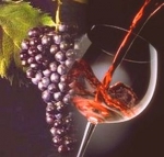 vinitaly