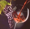 vinitaly