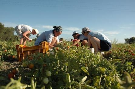 Acqua: la Coldiretti Puglia chiede la sospensione delle cartelle e la...