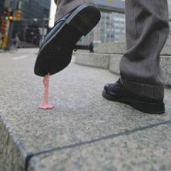 Un tappeto di gomme da masticare sulle zone pedonali, sui marciapiedi...