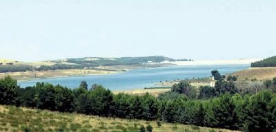 locone