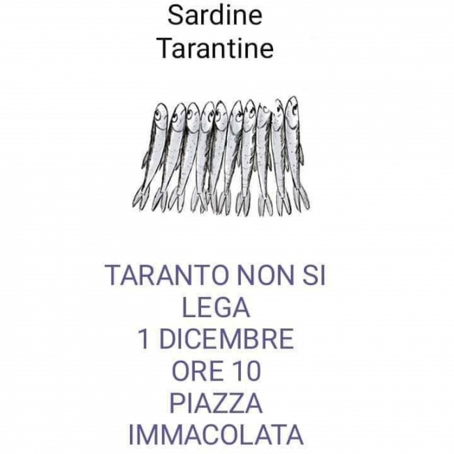 sardine