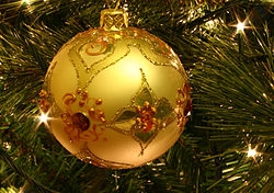 Auguri di Buon Natale da parte di…