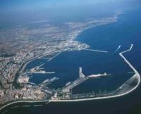 Continuano gli sbarchi di navi cariche di grano estero sulle coste...