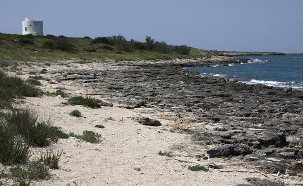 Studenti europei ritrovano un uomo impiccato nel Parco di Lido Pizzo