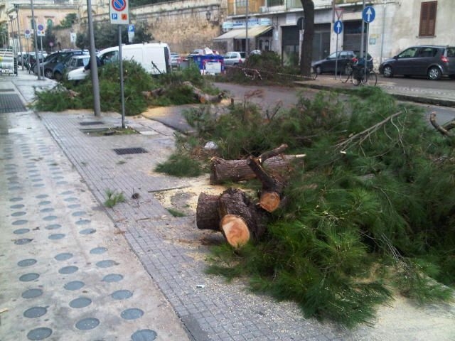 Lecce via Duca Degli Abruzzi, alcuni cittadini indignati per il...
