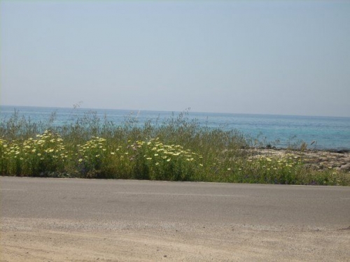 Marina di Alliste, un percorso ciclo-pedonale collegherà...
