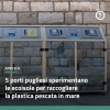 ecoisole