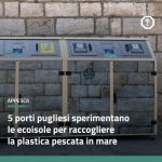 ecoisole