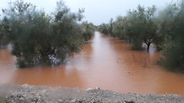 campagne allagate