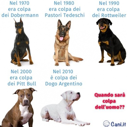 cani