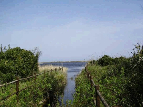 Altri tre milioni e mezzo per valorizzare la natura in Puglia:...
