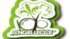 cngei