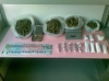 Puglia: cinque arresti per droga