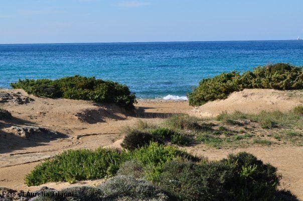 Adoc lancia l'allarme: le dune a sud di Gallipoli stanno scomparendo