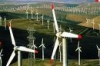 Energia pulita, Danita Hubner: Puglia leader in Ue