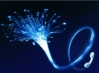 Tredici operatori di telecomunicazioni (Fibra Ottica SpA) entrano in...