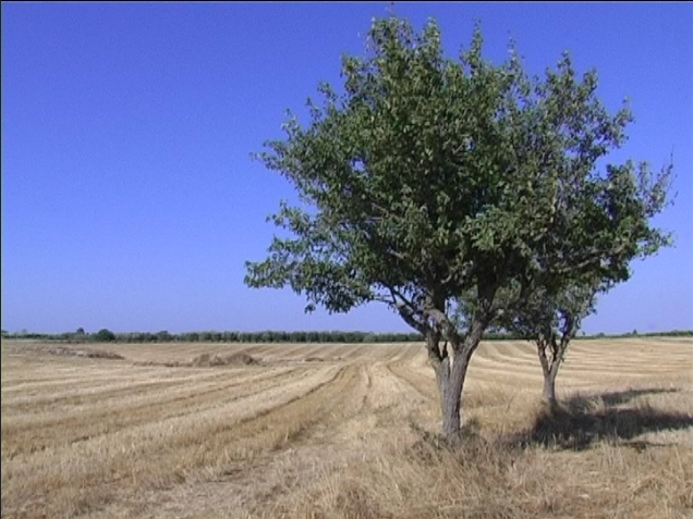 Campagna